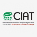 Logo Centro Internacional de Agricultura Tropical